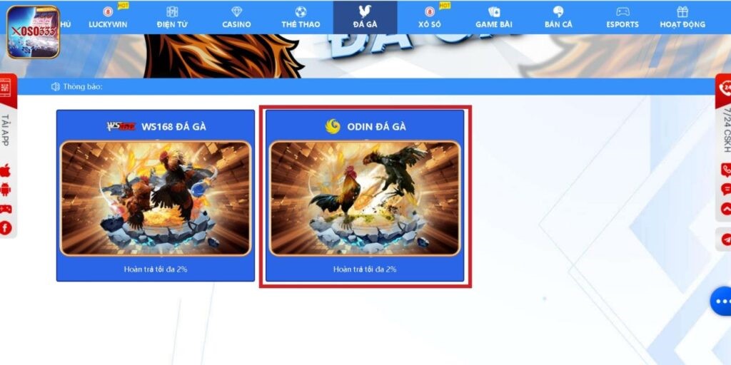 Tham gia cá cược với Odin Đá Gà cực nhanh chóng