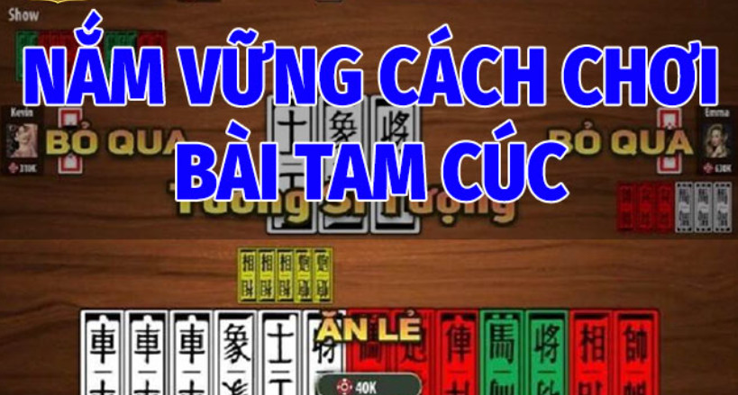 Nắm Vững Cách Chơi Bài Tam Cúc Cơ Bản