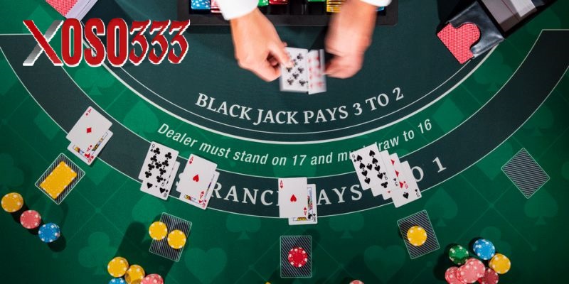 Chuẩn bị và phân phối trong game Blackjack