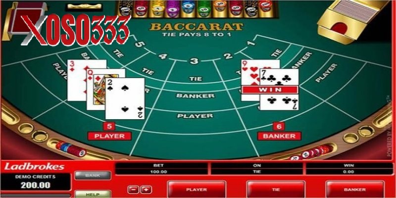 Người chơi cần phân bổ tiền cược các cửa phù hợp