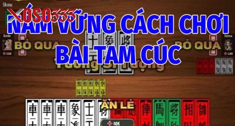 Nắm Vững Cách Chơi Bài Tam Cúc Cơ Bản